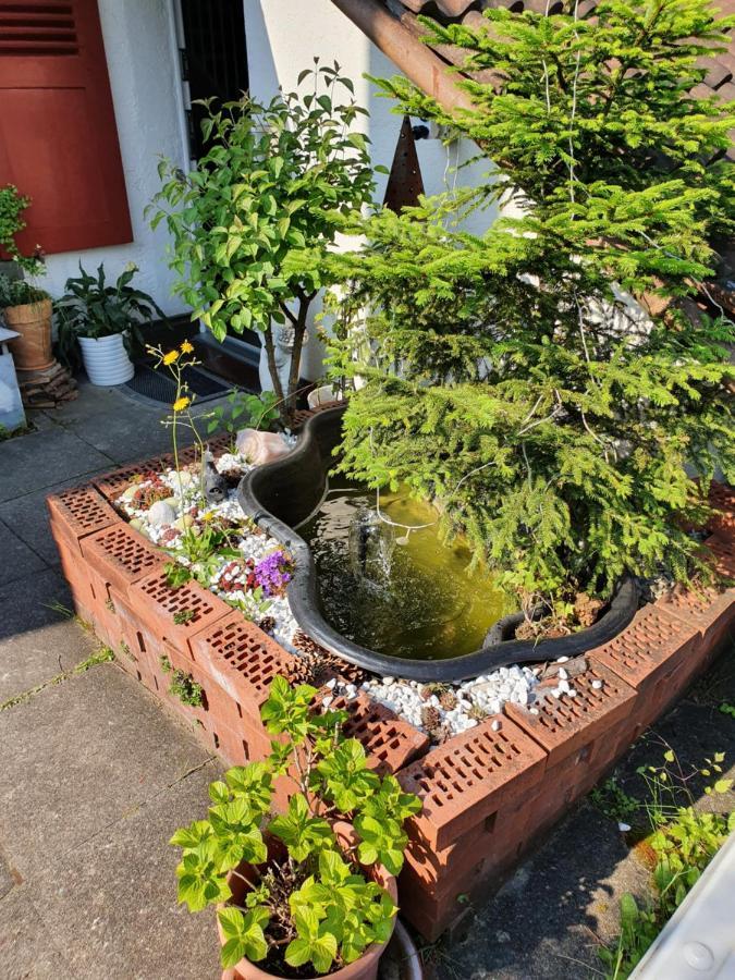 豪斯威贝尔住宿加早餐旅馆 兰德夸特 外观 照片